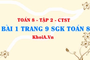 Bài 1 trang 9 Toán 8 Chân trời sáng tạo Tập 2